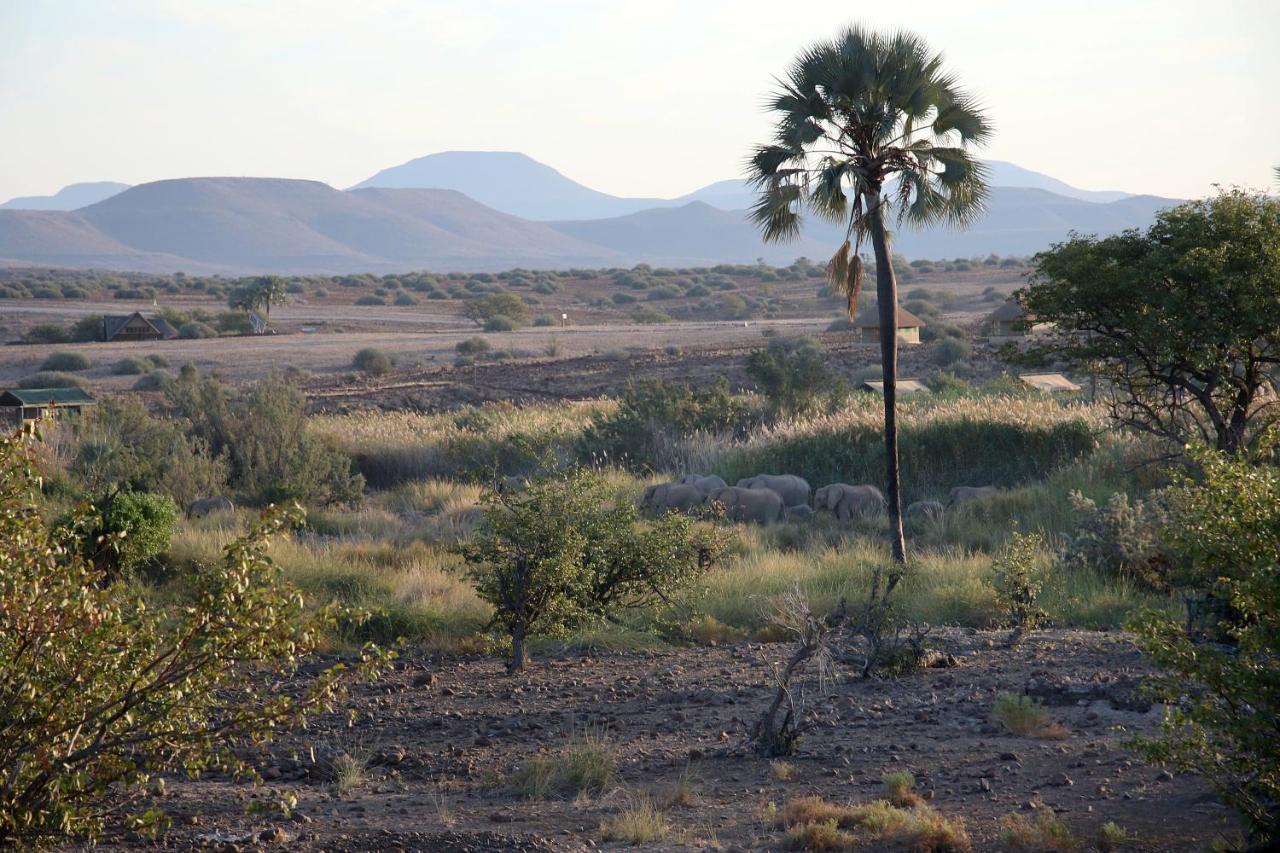 فندق Palmwag Campsite المظهر الخارجي الصورة